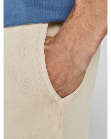 J&J SHORTS JPSTRUSH SWEAT AT SN 12206539