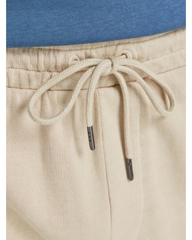 J&J SHORTS JPSTRUSH SWEAT AT SN 12206539