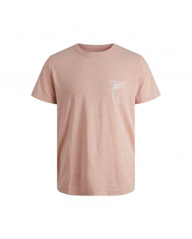 JACK&JONES T-SHIRT JORBREEZY GRAPHIC TEE 12209655