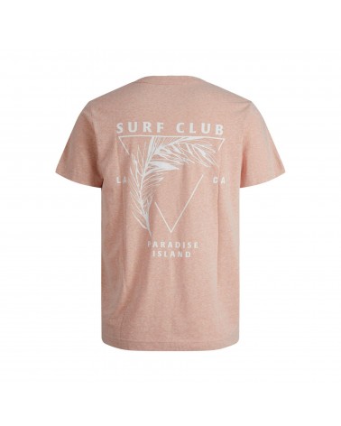 JACK&JONES T-SHIRT JORBREEZY GRAPHIC TEE 12209655