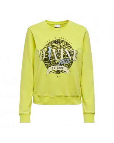 ONLY ONLLUCINDA REG L/S ROCK BOX UB SWT 15280546