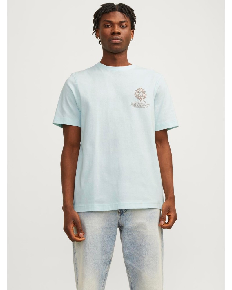 Jack&Jones Jornoto graphic chest tee ss c.n ln 12256406