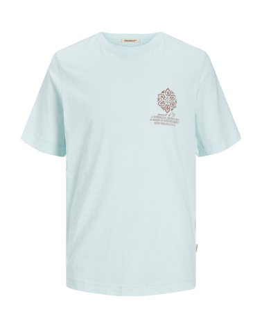 Jack&Jones Jornoto graphic chest tee ss c.n ln 12256406