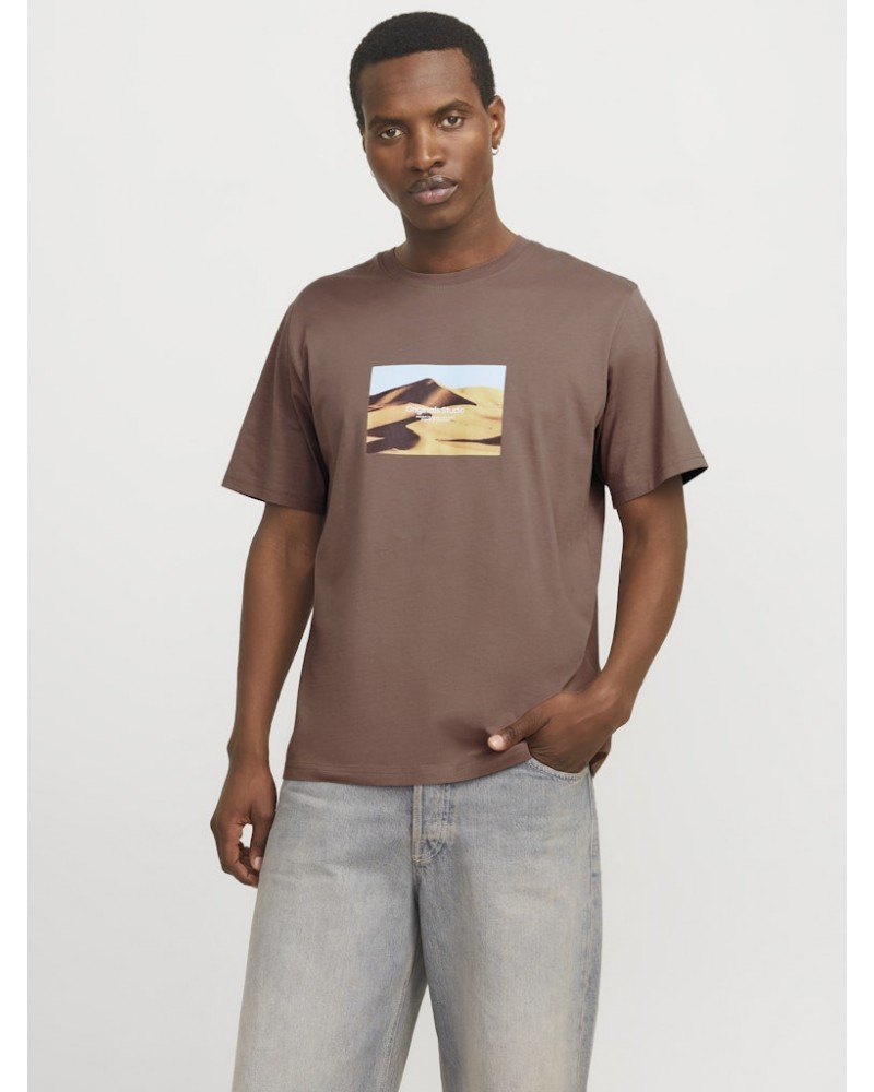 Jack&Jones Jorvesterbro picture tee ss crew neck sn 12250421