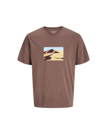 Jack&Jones Jorvesterbro picture tee ss crew neck sn 12250421