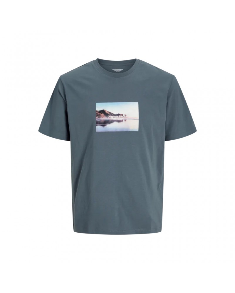 Jack&Jones Jorvesterbro picture tee ss crew neck sn 12250421
