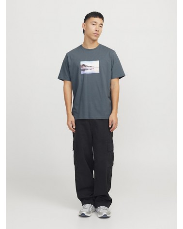 Jack&Jones Jorvesterbro picture tee ss crew neck sn 12250421