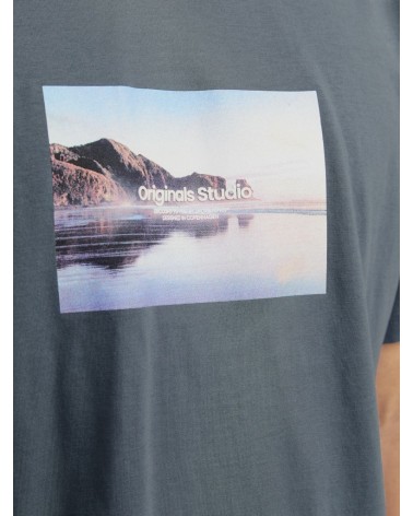 Jack&Jones Jorvesterbro picture tee ss crew neck sn 12250421